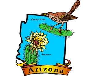 Arizona - USA State Symbol