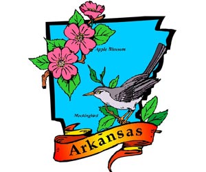 Image of the Arkansas State Symbols