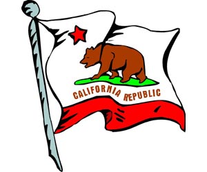 California Flag | One of the 50 US State Flags