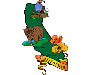 Image of the California State Symbols