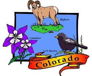 Image of the Colorado State Symbols