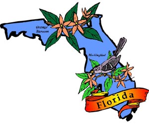 Image of the Florida State Symbols