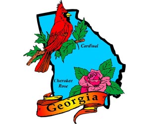 Image of the Georgia State Symbols