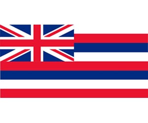 Hawaii Flag | One of the 50 US State Flags