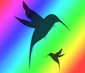 Hummingbird Symbol Picture