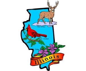 Image of the Illinois State Symbols