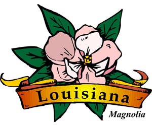 Image of the Louisiana State Symbols