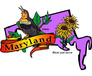 Image of the Maryland State Symbols