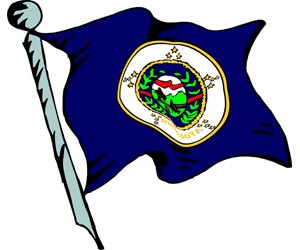 Minnesota Flag | One of the 50 US State Flags