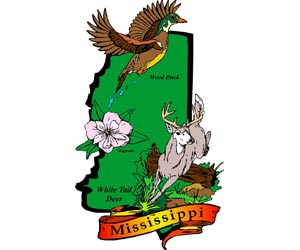 Image of the Mississippi State Symbols