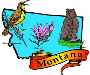 Image of the Montana State Symbols