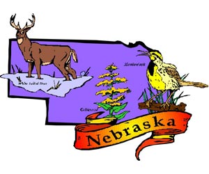 Image of the Nebraska State Symbols