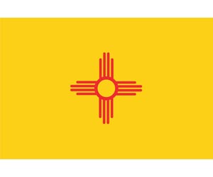 New Mexico Flag | One of the 50 US State Flags