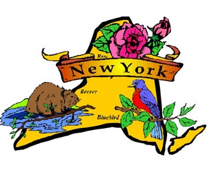 Image of the New York State Symbols