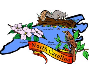 Image of the North Carolina State Symbols