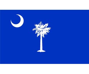 South Carolina Flag  | One of the 50 US State Flags