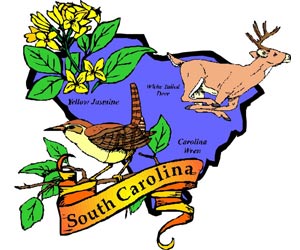 Image of the South Carolina State Symbols