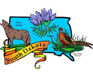 Image of the South Dakota State Symbols