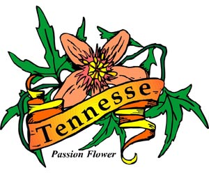 Image of the Tennesse State Symbols