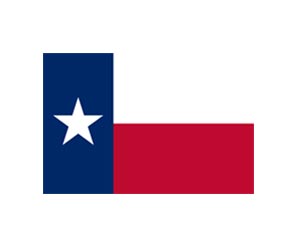 Texas Flags Picture