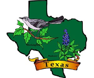 Image of the Texas State Symbols