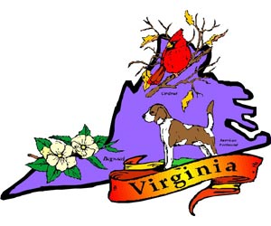 Image of the Virginia State Symbols