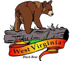 Image of the West Virginia State Symbols