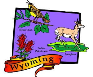 Image of the Wyoming State Symbols